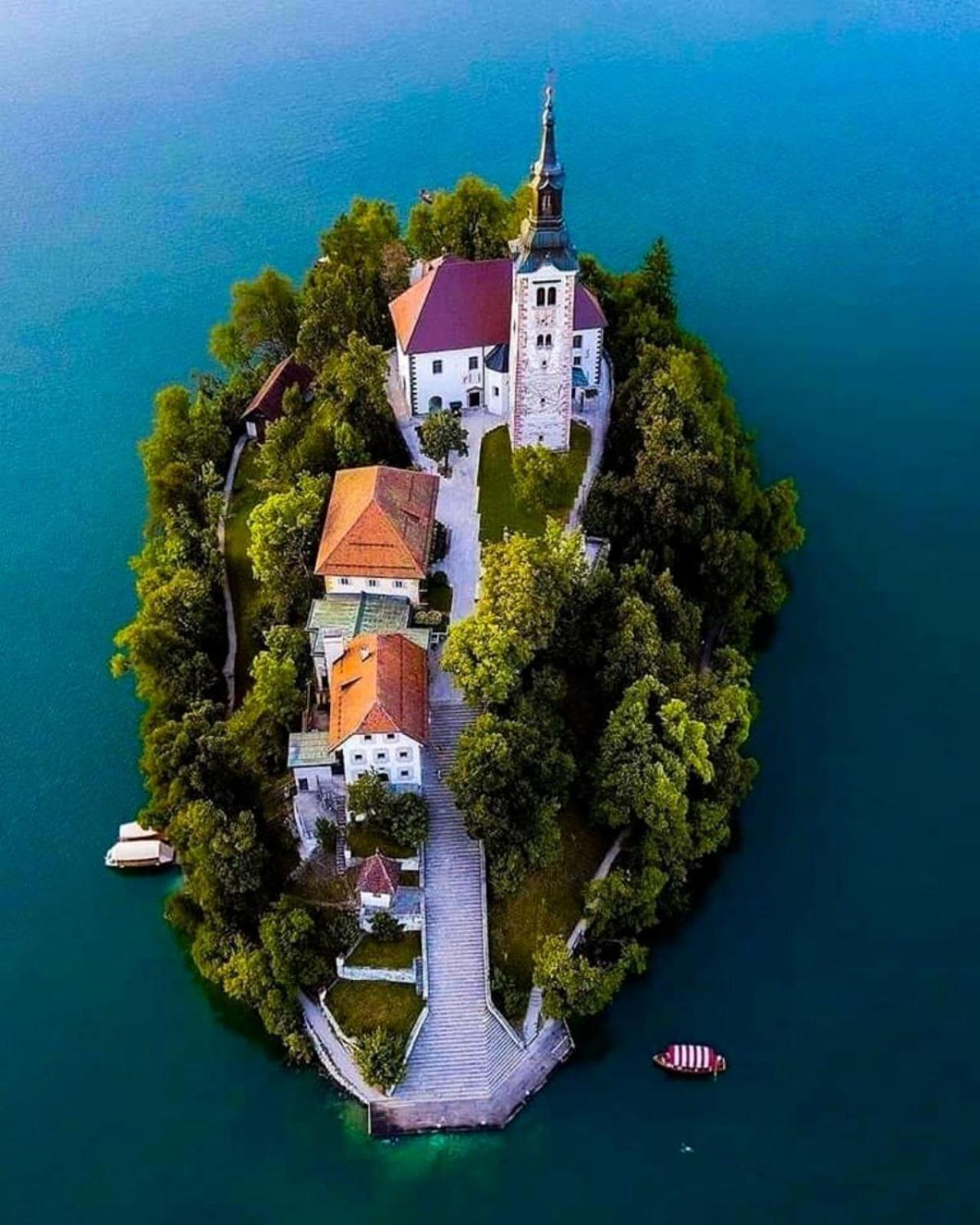 Apartmán Tree Bled Exteriér fotografie